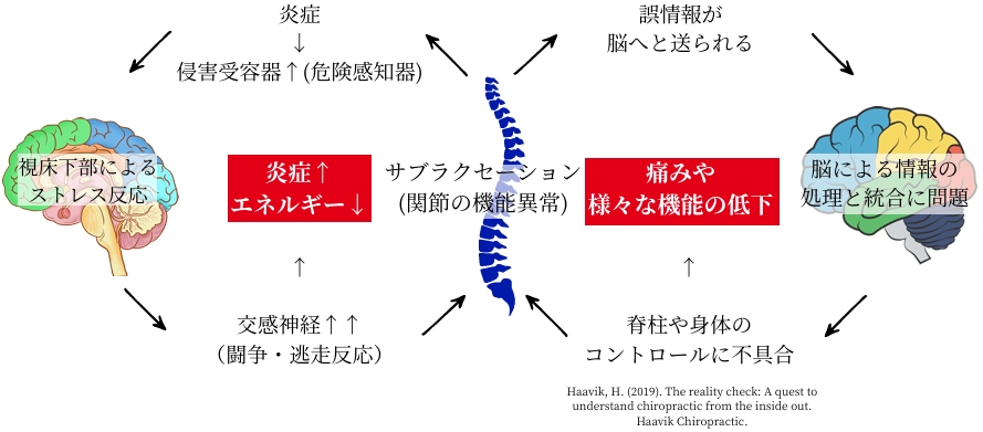 サブラクセーションが脳へ与える影響