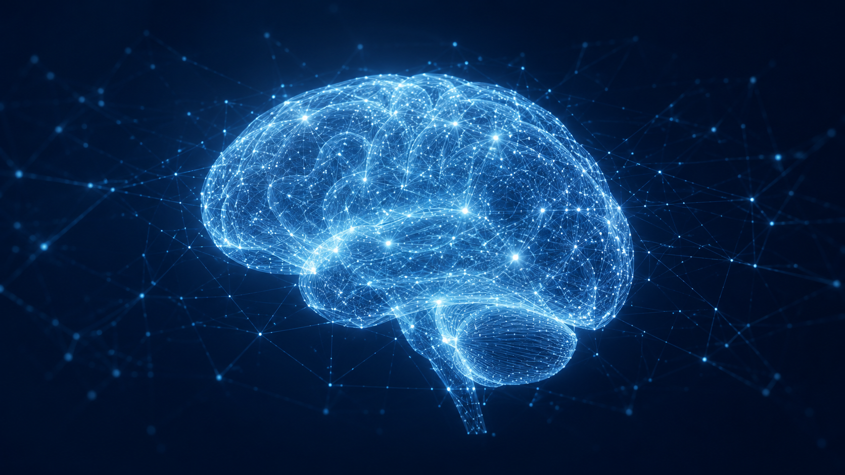 Brain Function